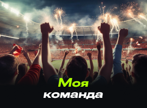 Моя команда image